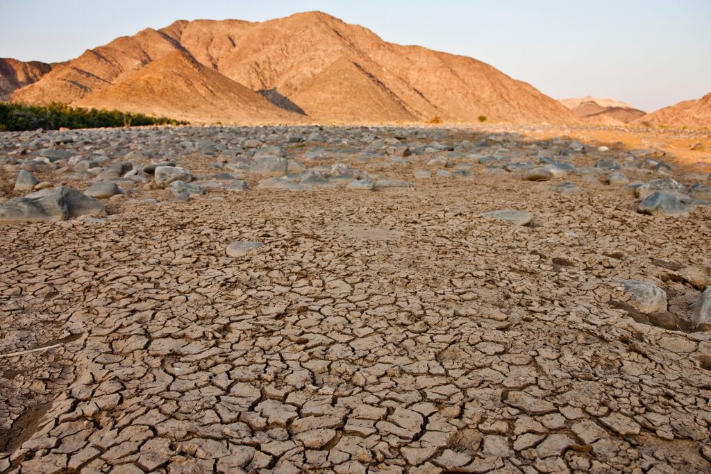 Dónde hacer donaciones para luchar contra el cambio climático